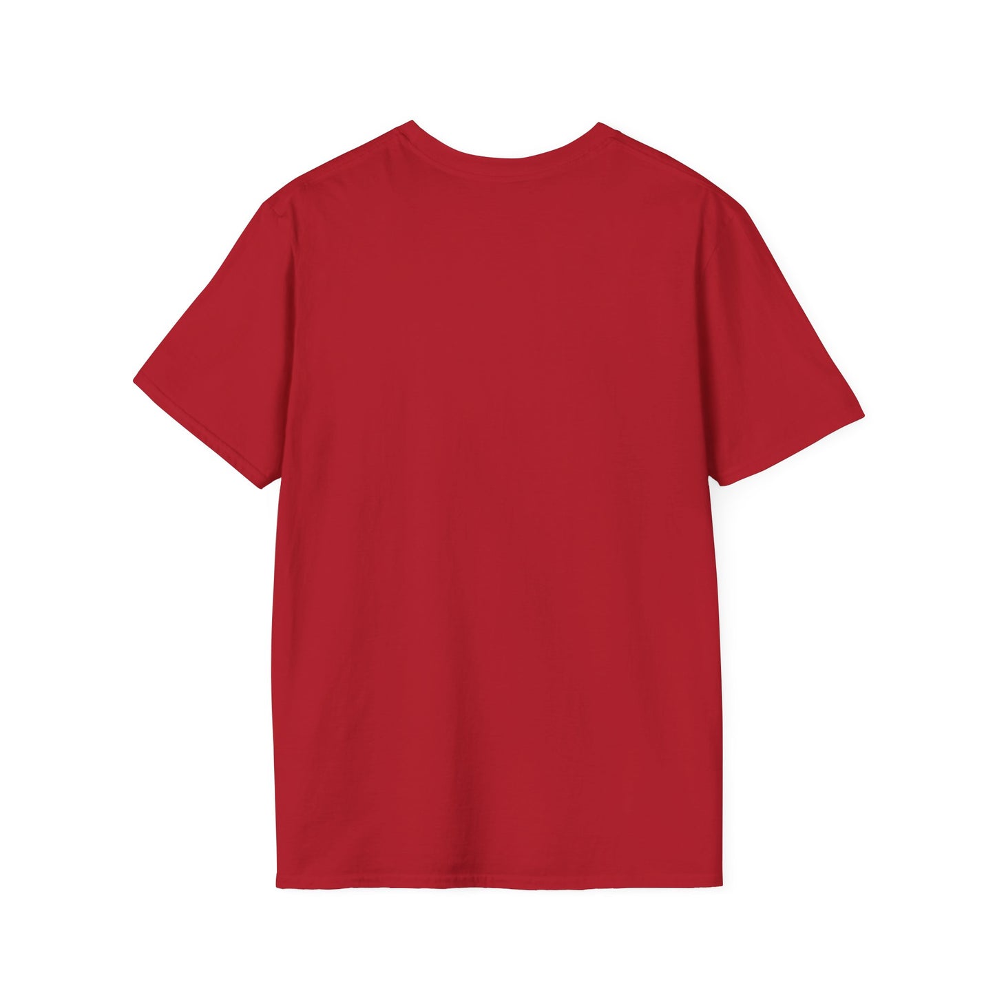 A Plain T-Shirt