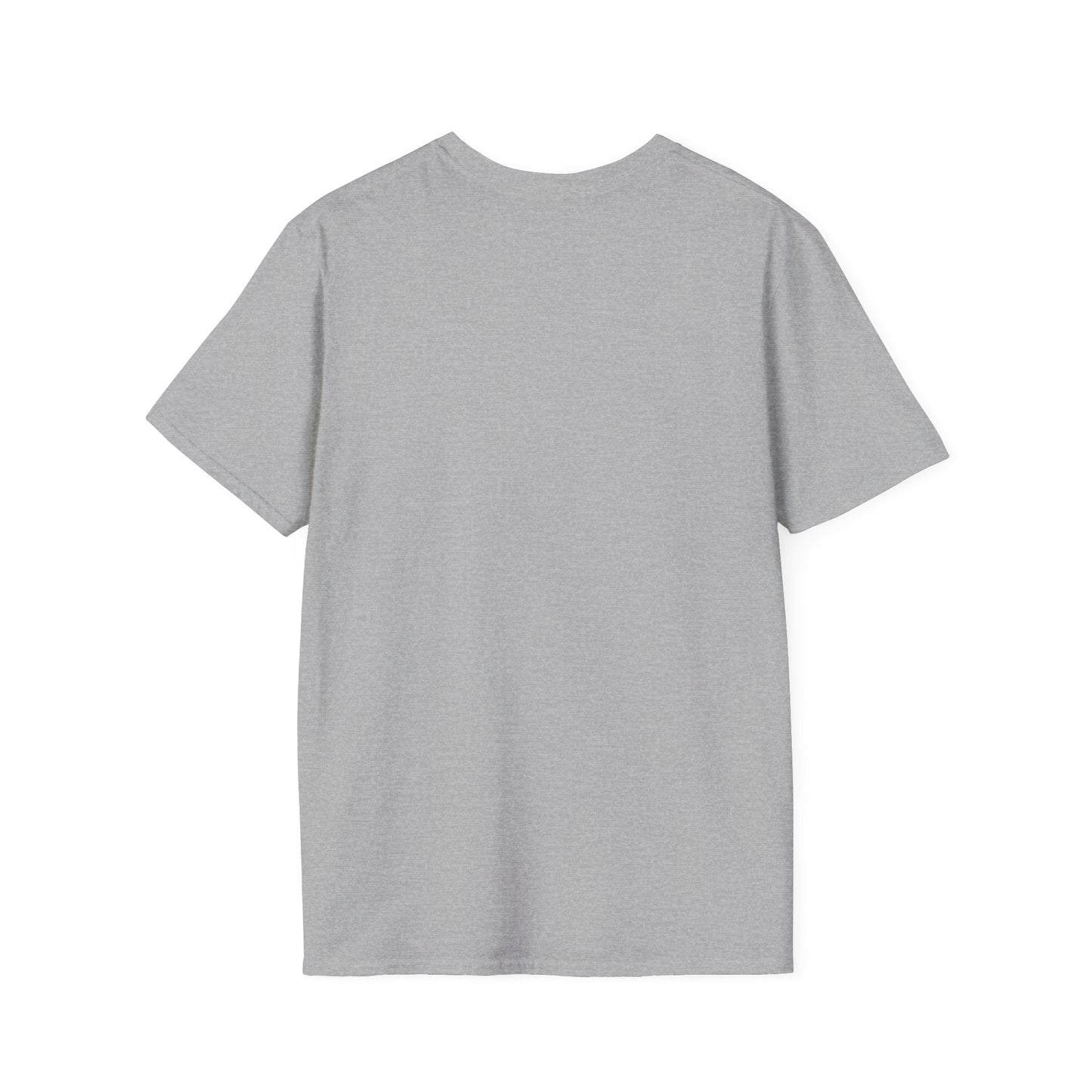 A Plain T-Shirt